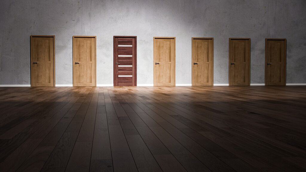 a wall of doors choices
