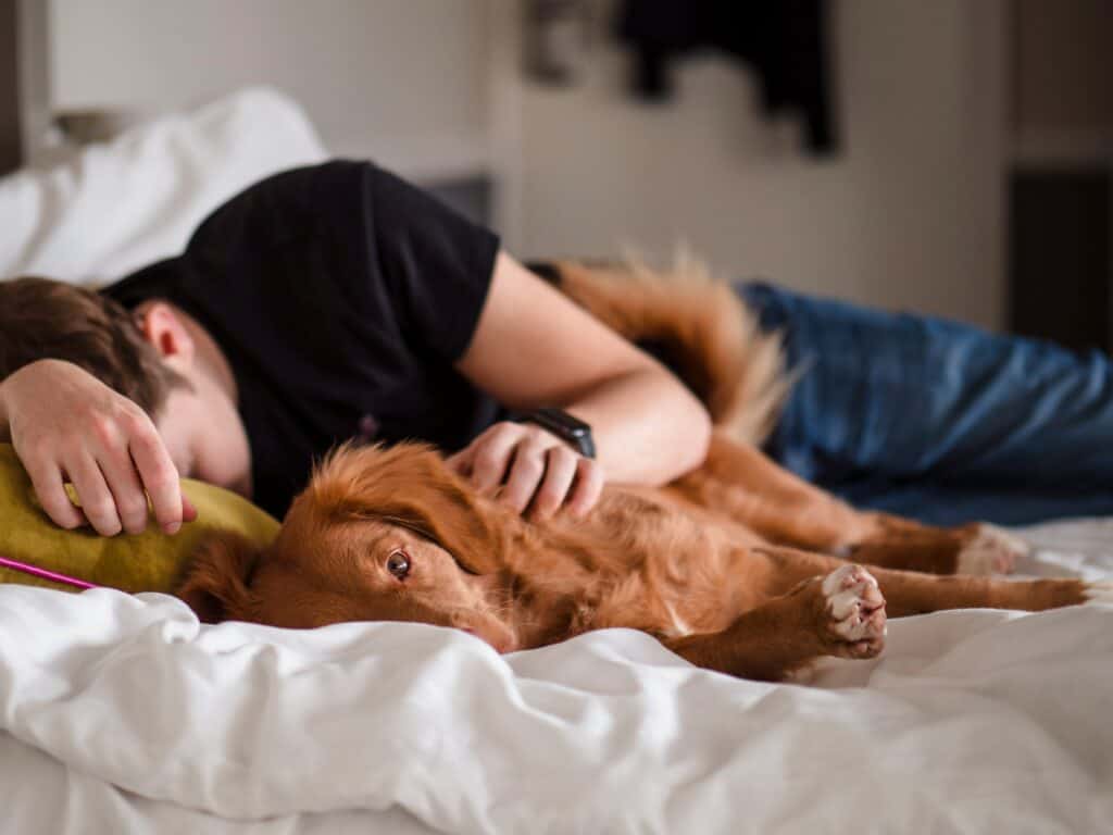 teen boy lying in bed with dog