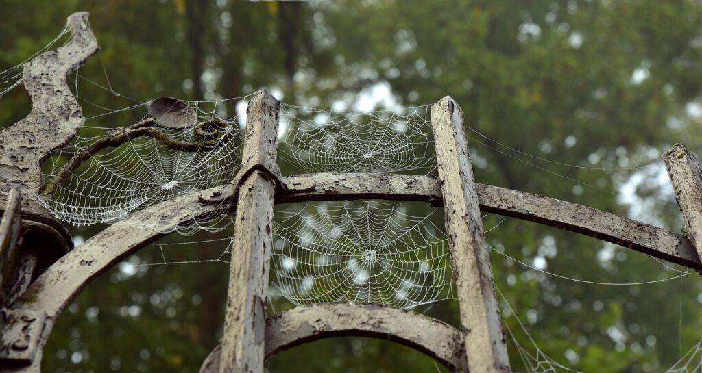 creepy gate with cobwebs