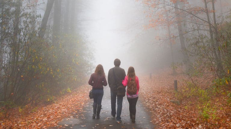 A family walks a lonely road. The only one that they have ever known.