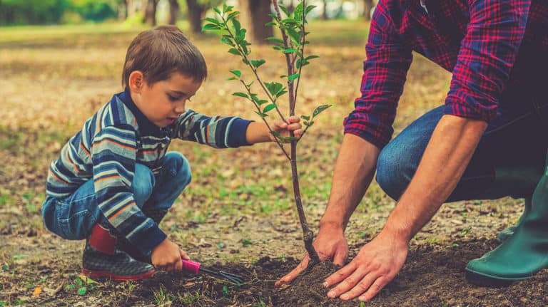 Parental Respect - Focus on the Family