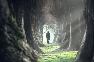 A solitary figure walking through a serene forest path surrounded by towering trees, symbolizing the journey of healing after sexual betrayal.