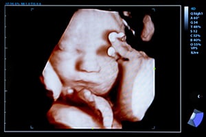 Pro-Life Resources