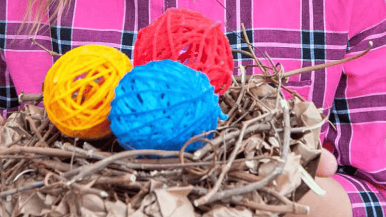 Yarn Eggs in Nest - Focus on the Family