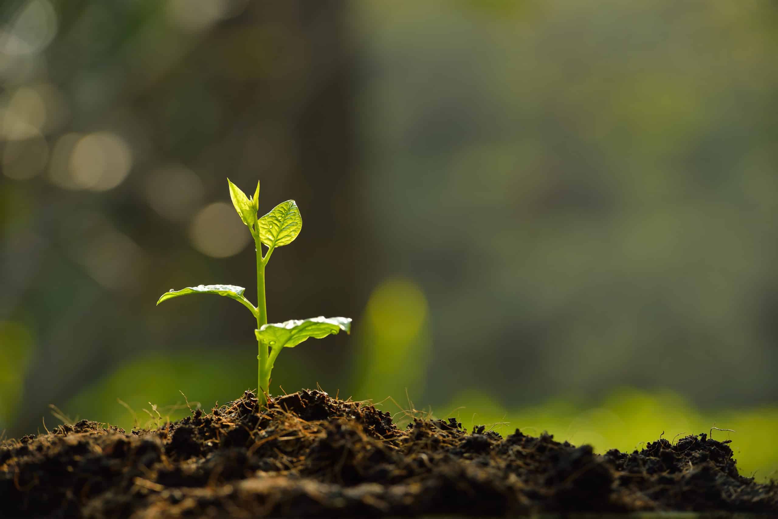 AdobeStock_61065153