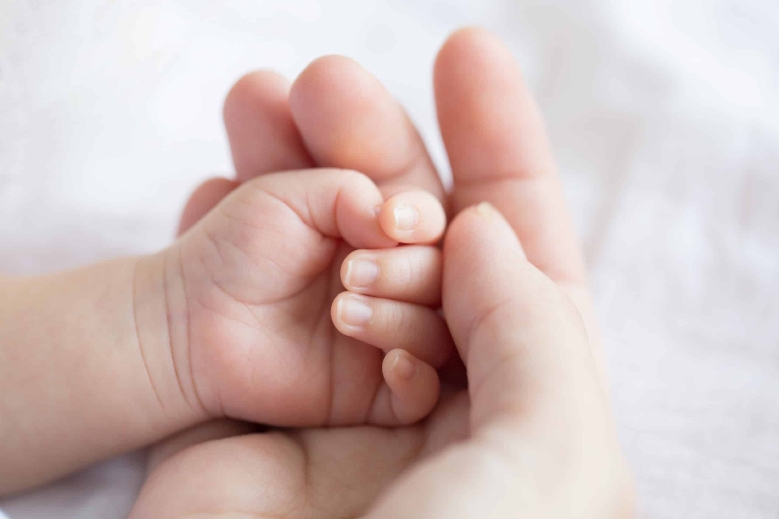 AdobeStock_186220663