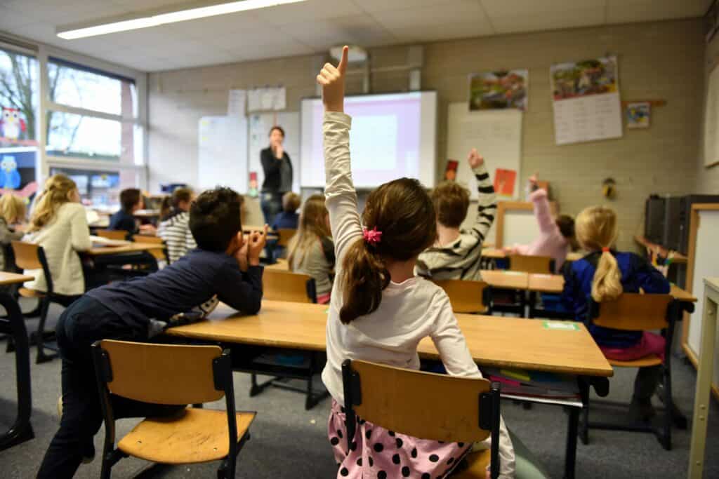 girl raising hand in back of classroom