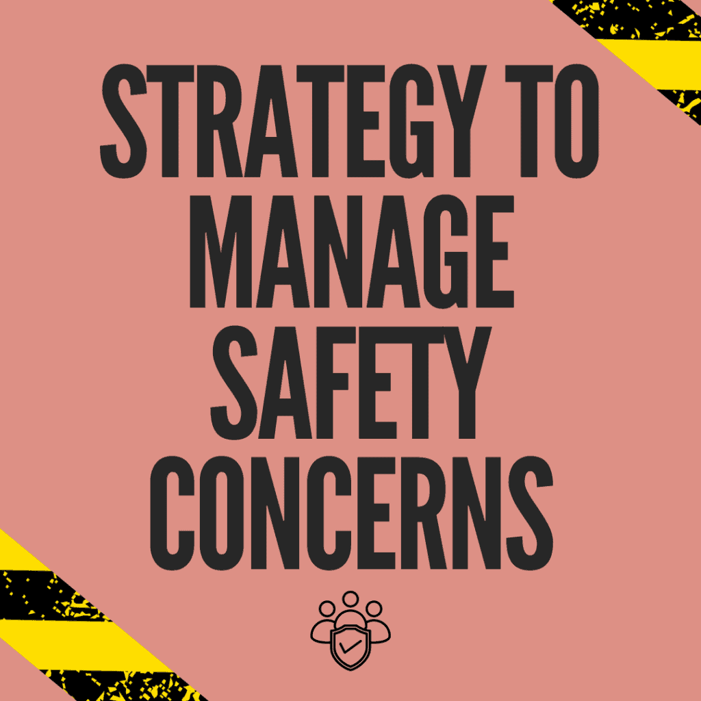 Text that states Strategy to manage safety concerns