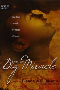 Cover image of the book Small Town, Big Miracle