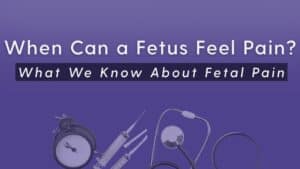 Purple image with the words "When can a fetus feel pain" and "what we know about fetal pain."
